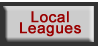 Local Florida Baseball Leagues